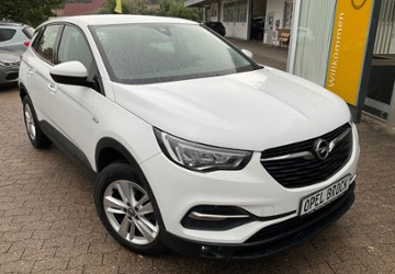 Opel Grandland (X) 58.245 km 18.690 &euro; Springe 31832